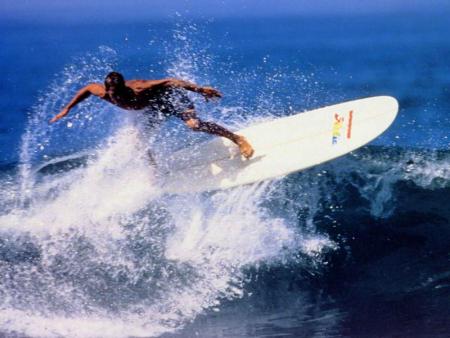 SURFING    GOOOOOOO  !!!!!!!!!
