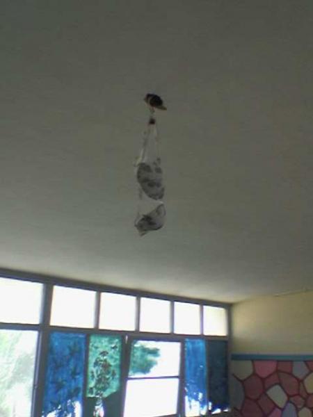HEX    FI   MADRASSA