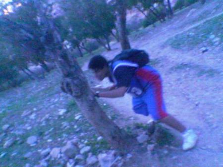 JONONE  AL  INSSANE