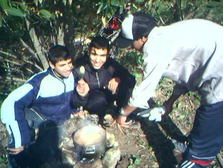 GAMILLA