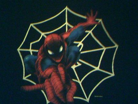 spider man 2