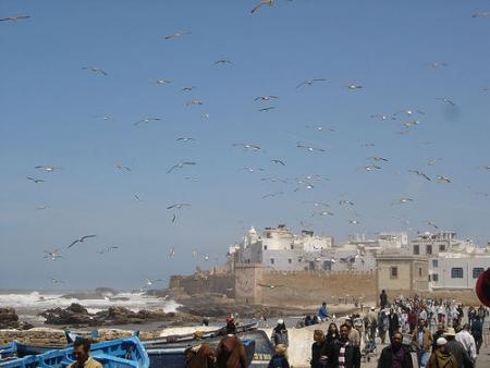 PORT  DU  ESSAOUIRA