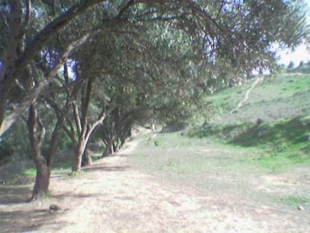 ASFI  BLAD  LJAMALE  OU  SALLAME