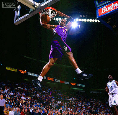 BASKETTE  BULL